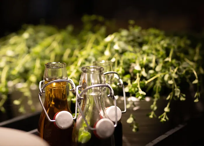 Bristol - Frankfurt Centre - 4*