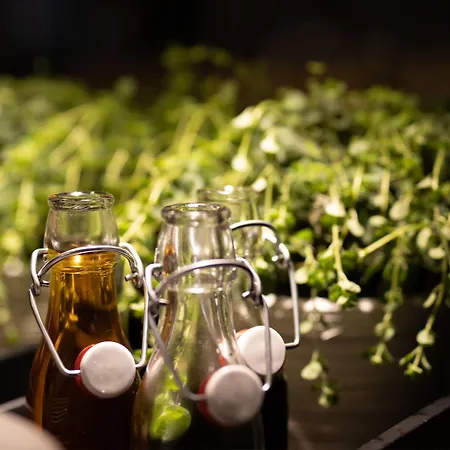 Bristol - Frankfurt Centre - 4*